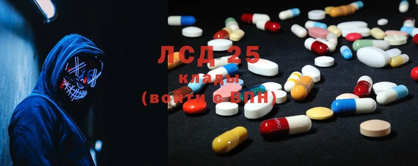 эйфоретик Баксан