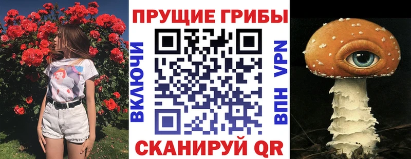 Псилоцибиновые грибы Cubensis  закладки  Слободской 